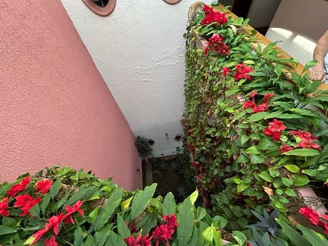 place photo 39