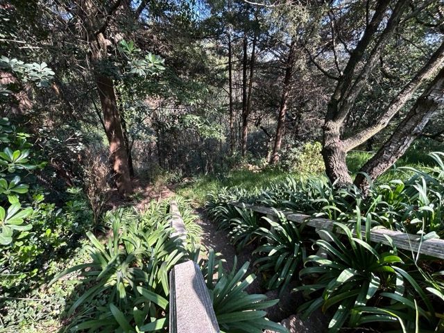 place photo 44