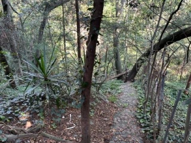 place photo 45