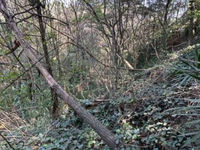place photo 46