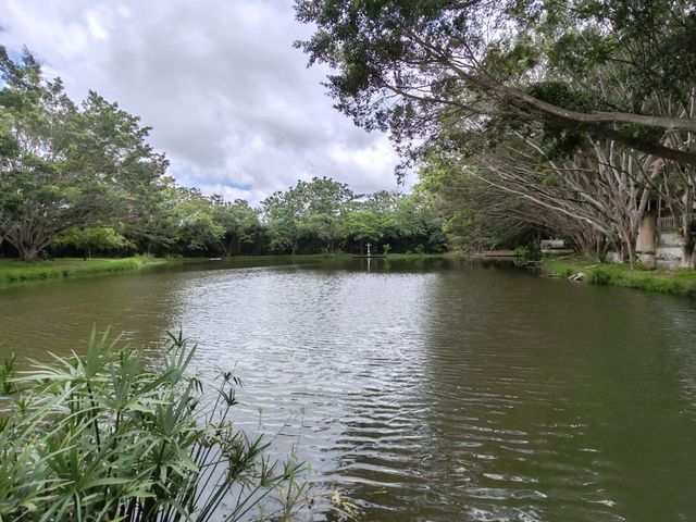 place photo 68