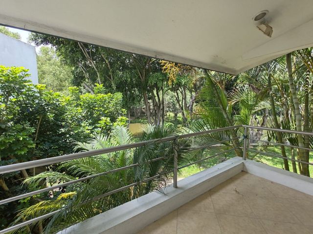 place photo 47