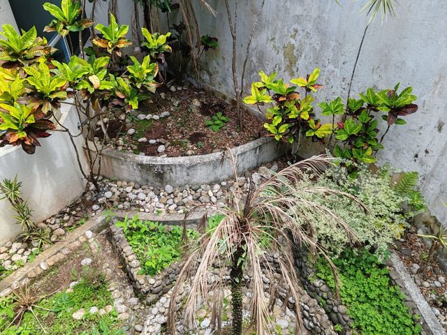 place photo 60