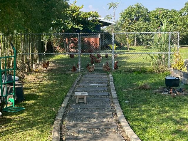place photo 37
