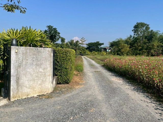 place photo 42