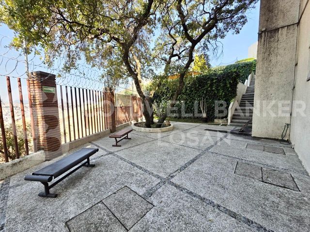 place photo 36
