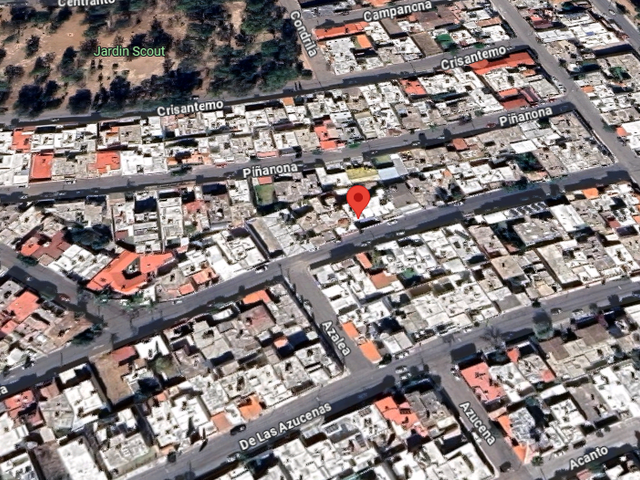 place photo 11