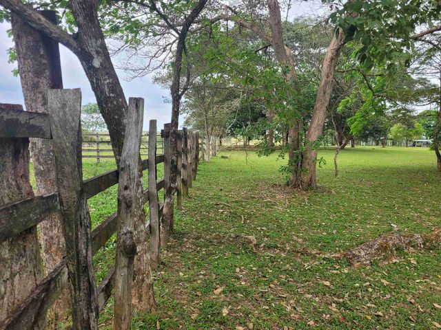 place photo 27