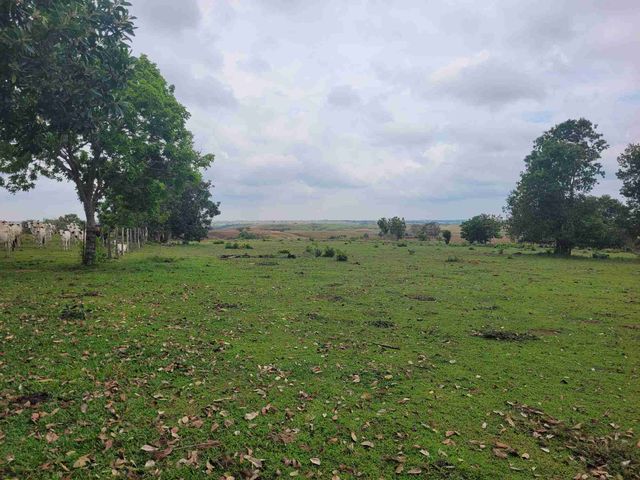 place photo 29