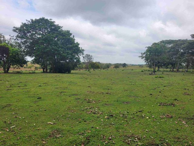 place photo 33