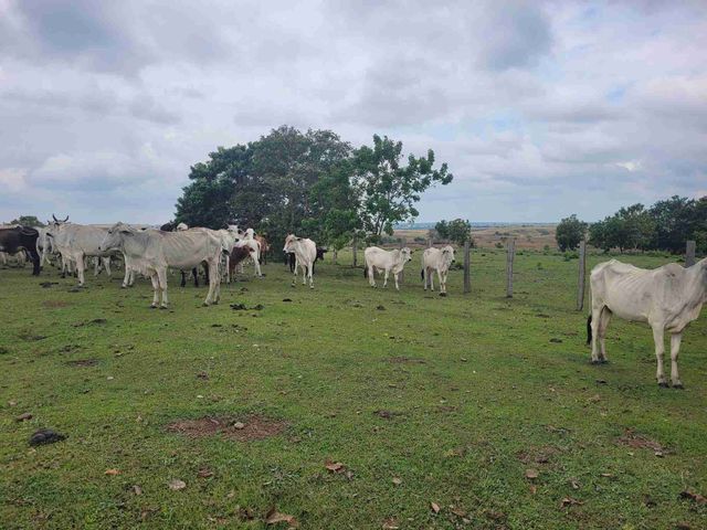 place photo 37