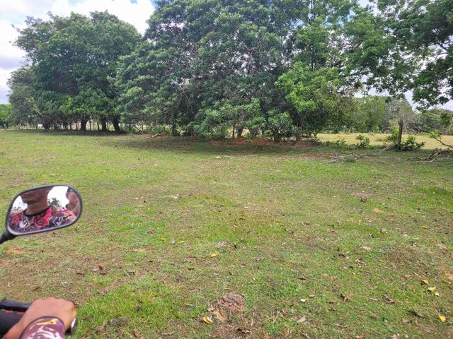 place photo 49
