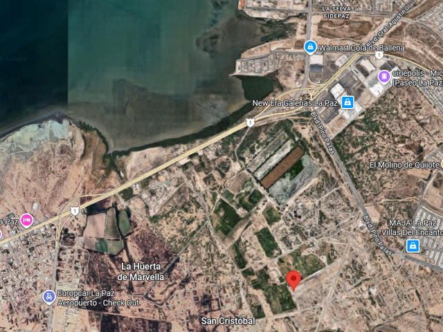 place photo 8