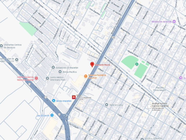place photo 7