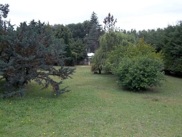 place photo 23