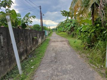 place photo 18