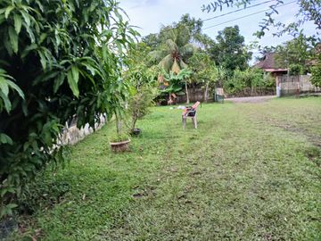 place photo 20