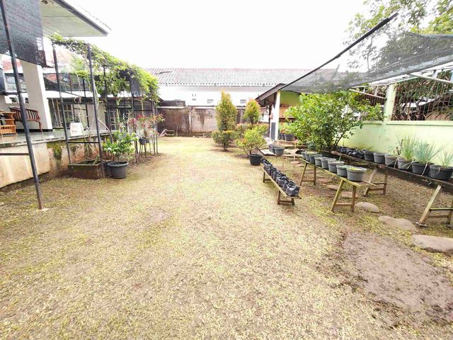 place photo 14