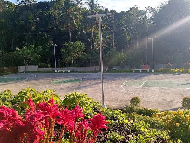 place photo 11