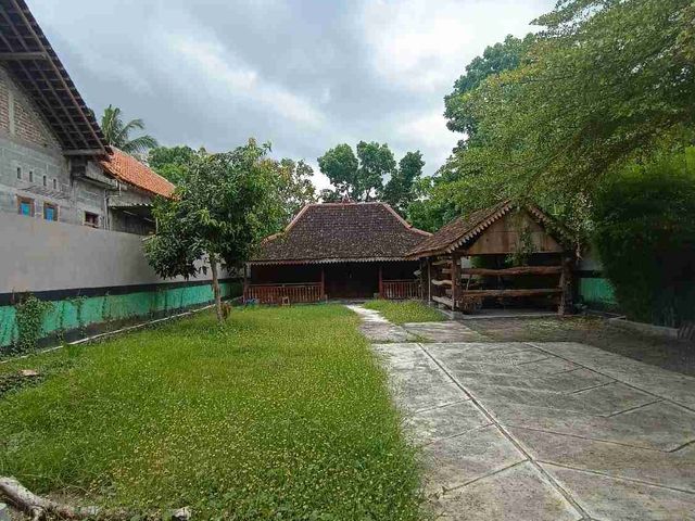 place photo 7