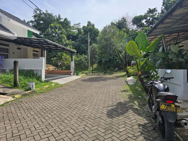 place photo 12