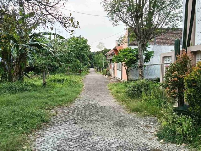 place photo 18