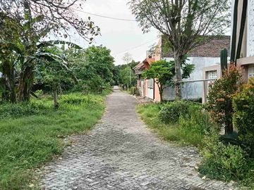 place photo 18