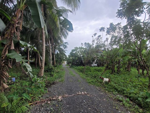 place photo 43