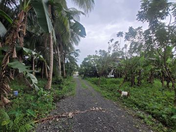 place photo 43