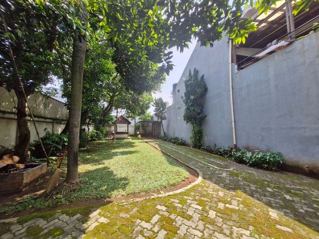 place photo 21
