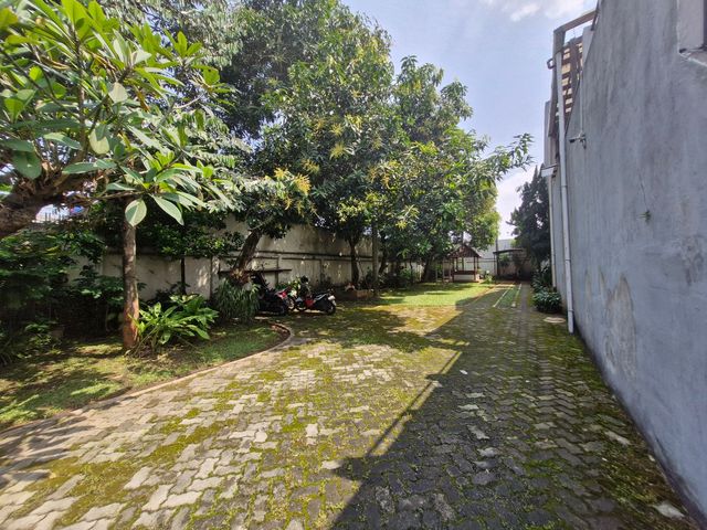 place photo 22