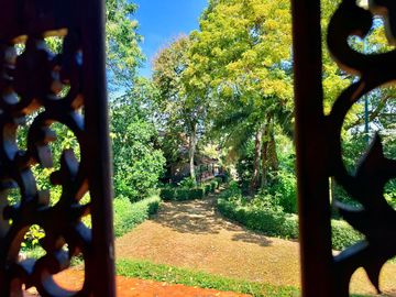 place photo 22