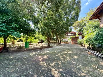 place photo 65