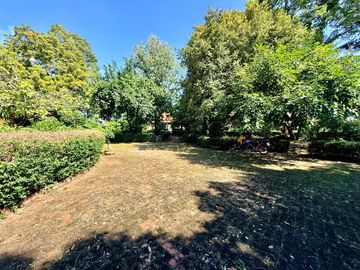 place photo 66