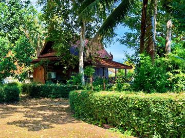place photo 67