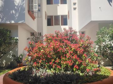 place photo 36