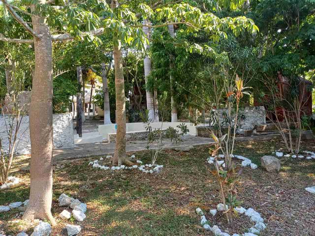 place photo 9