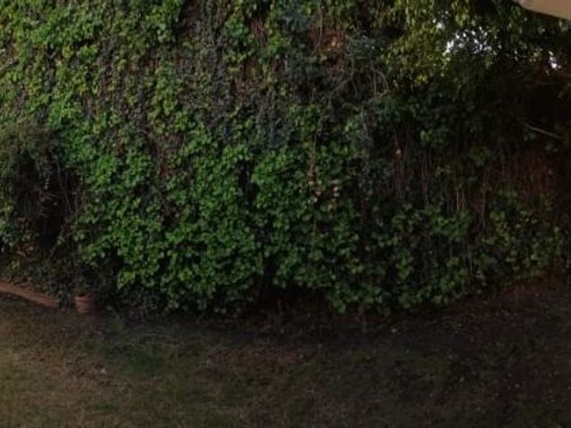 place photo 76