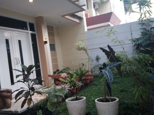 place photo 11