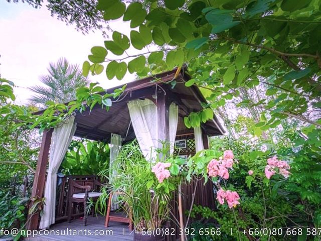 place photo 32