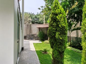 place photo 36