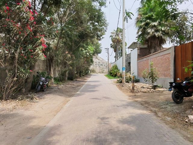 place photo 69