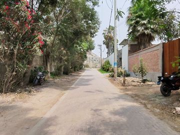 place photo 69