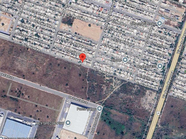 place photo 5