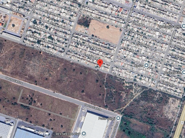 place photo 6