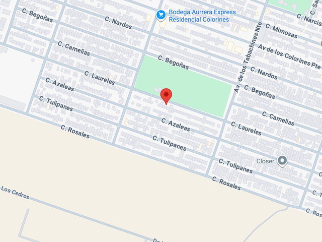 place photo 6
