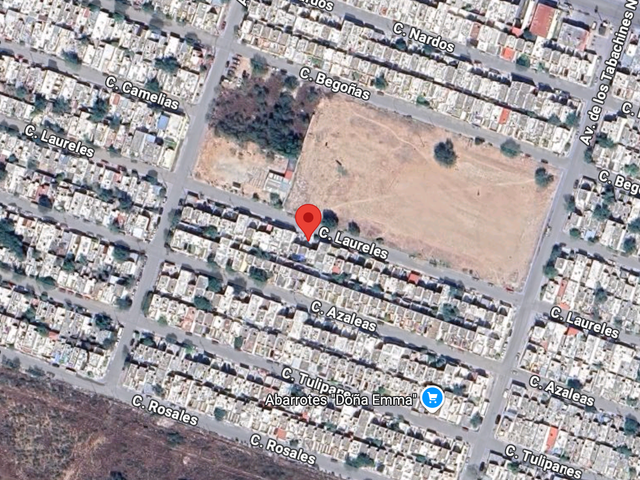 place photo 14