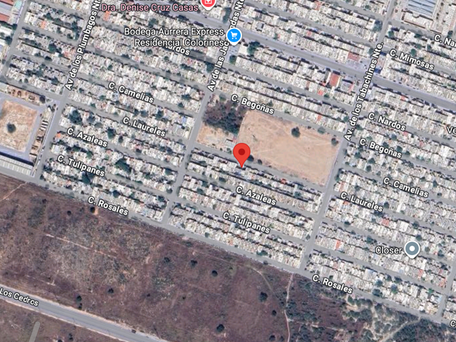 place photo 11