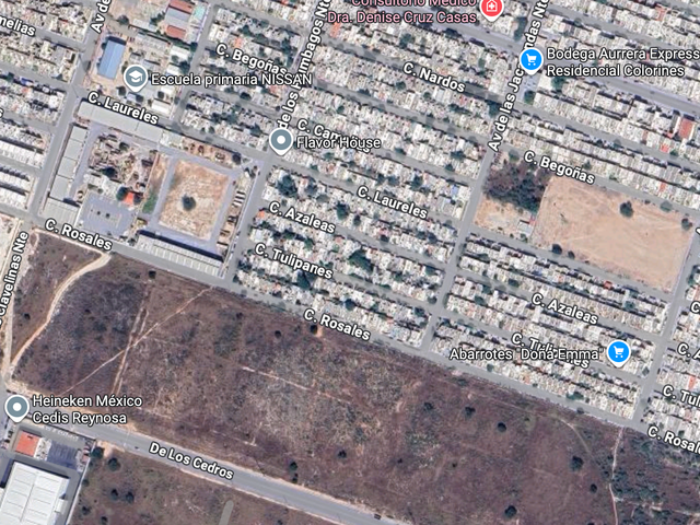 place photo 10