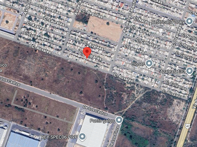place photo 7